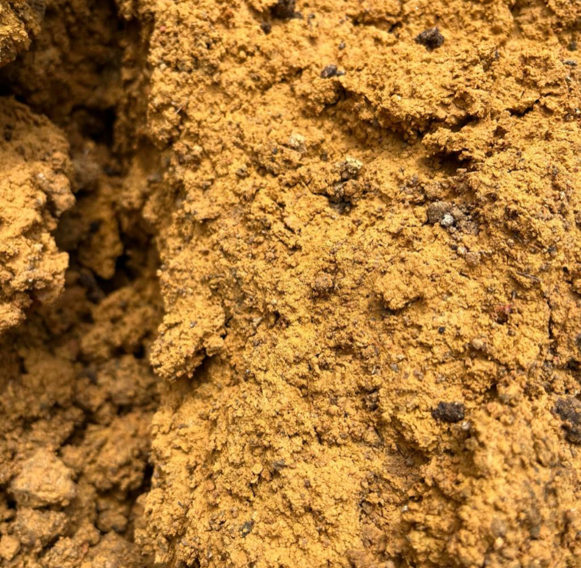 Pure Yellow Soil, Top Soil (20L)