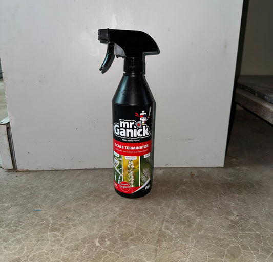 Bundle Of 3 - Mr Ganick Scale Terminator, Natural Pesticide (500ml)