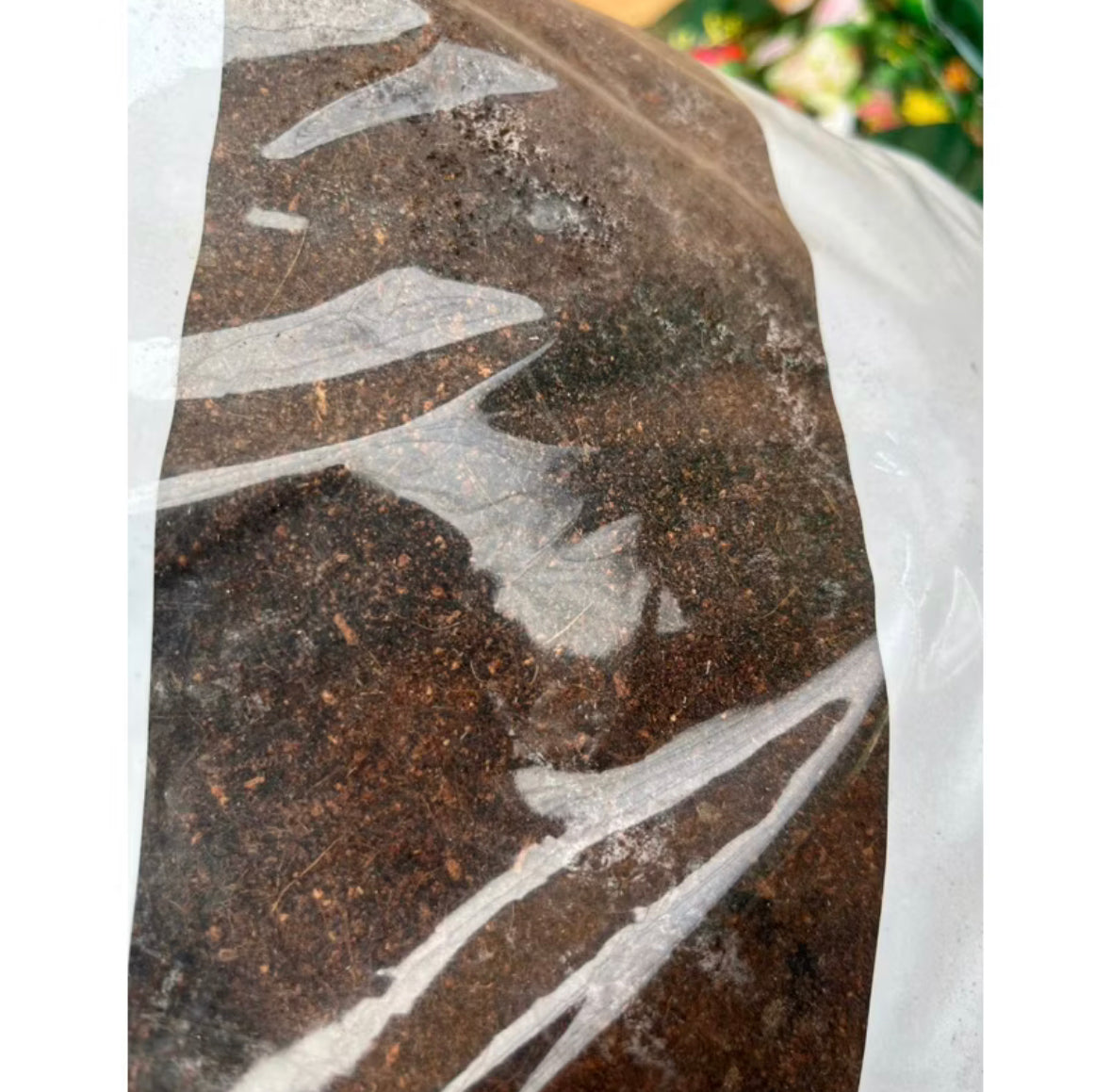 7L Garden Formula Potting Soil